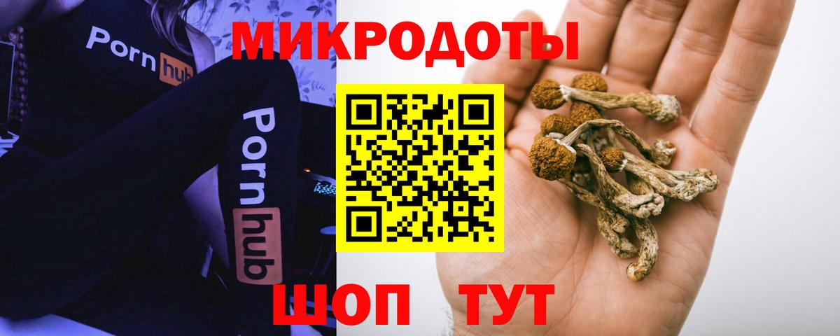 Галлюциногенные грибы Psilocybine cubensis  продажа наркотиков  Кольчугино  Вход с VPN 